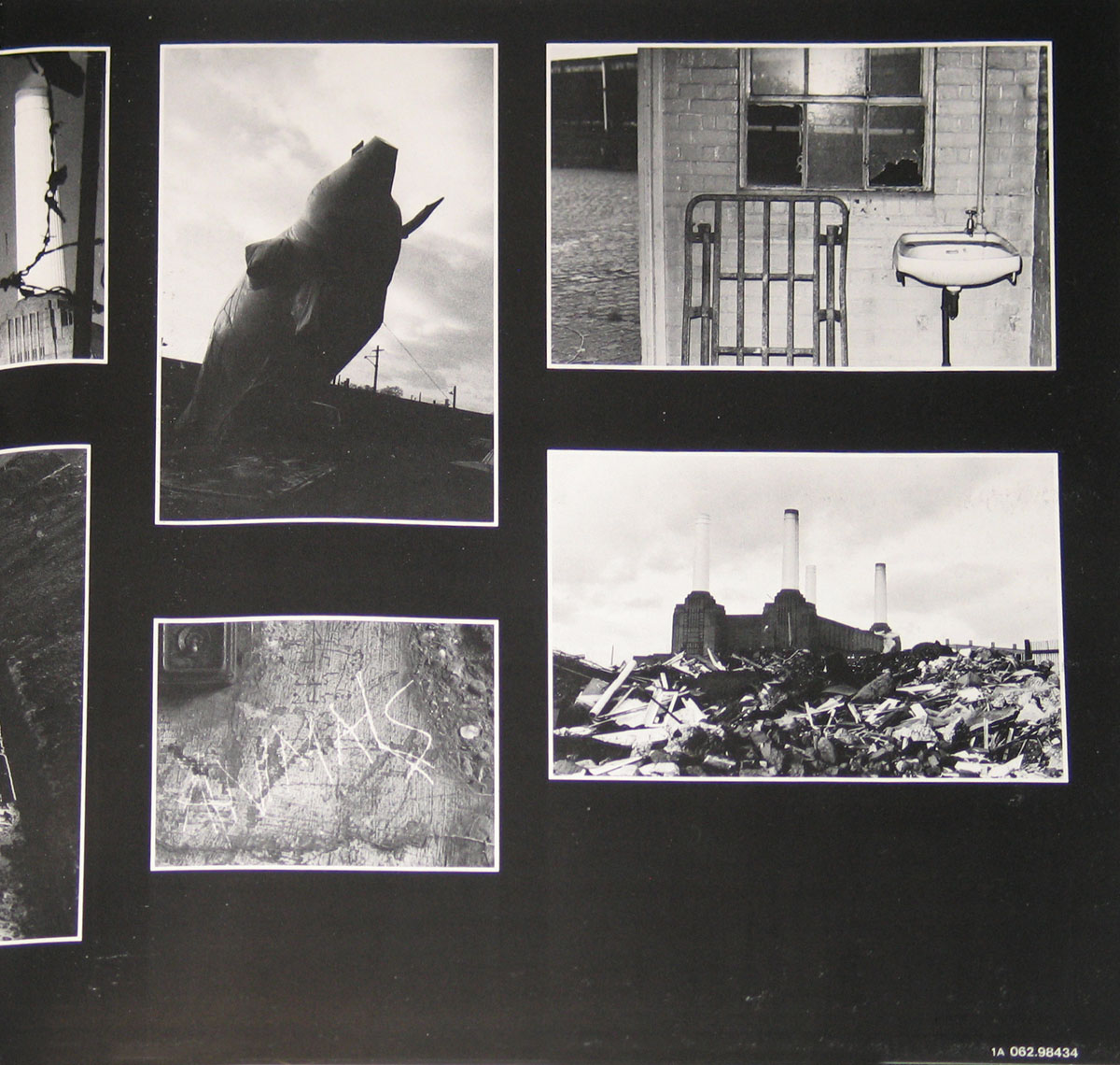 High Resolution Photo #4 PINK FLOYD animals netherlands 